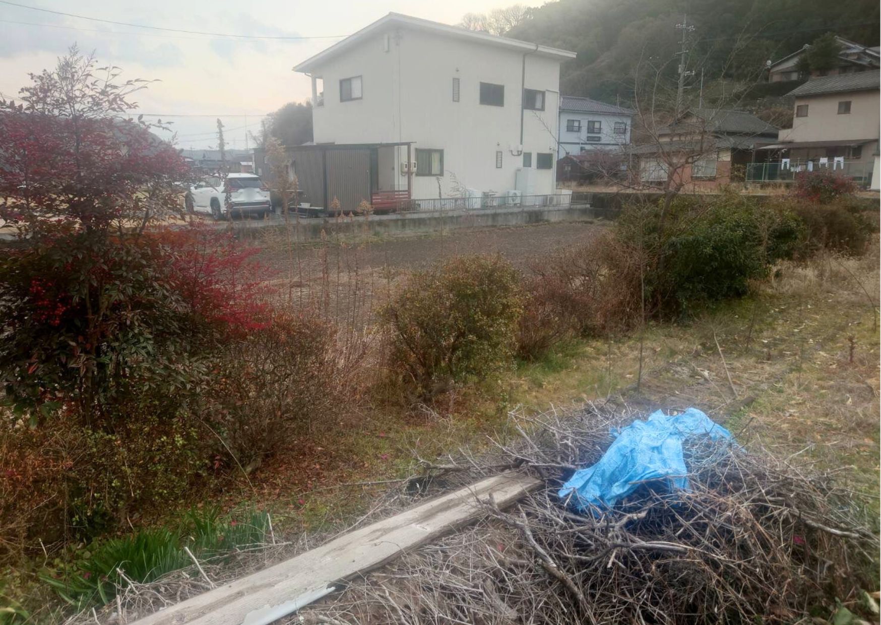 庭の植栽の伐採等 | 施工事例 | (株)合田建設 |