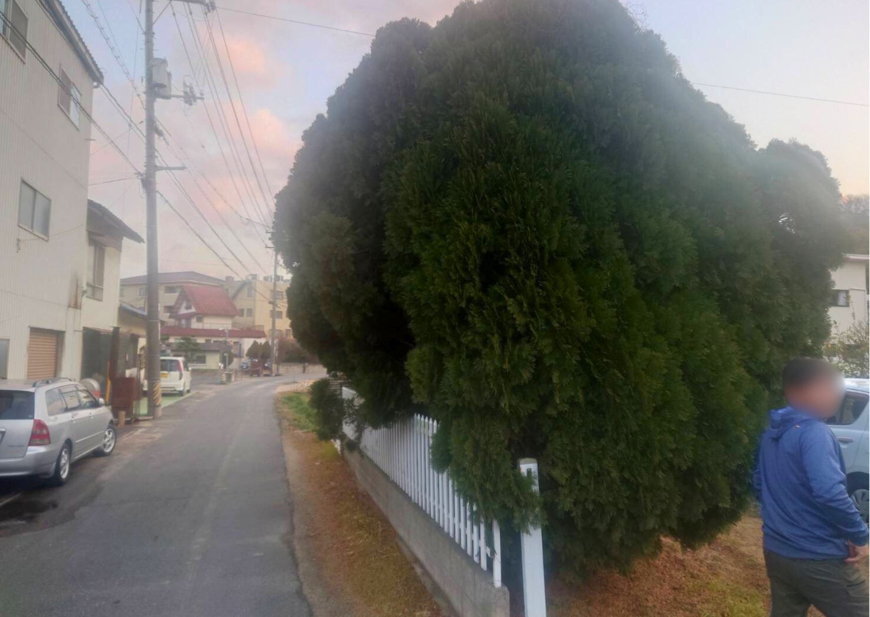 庭の植栽の伐採等 | 施工事例 | (株)合田建設 |