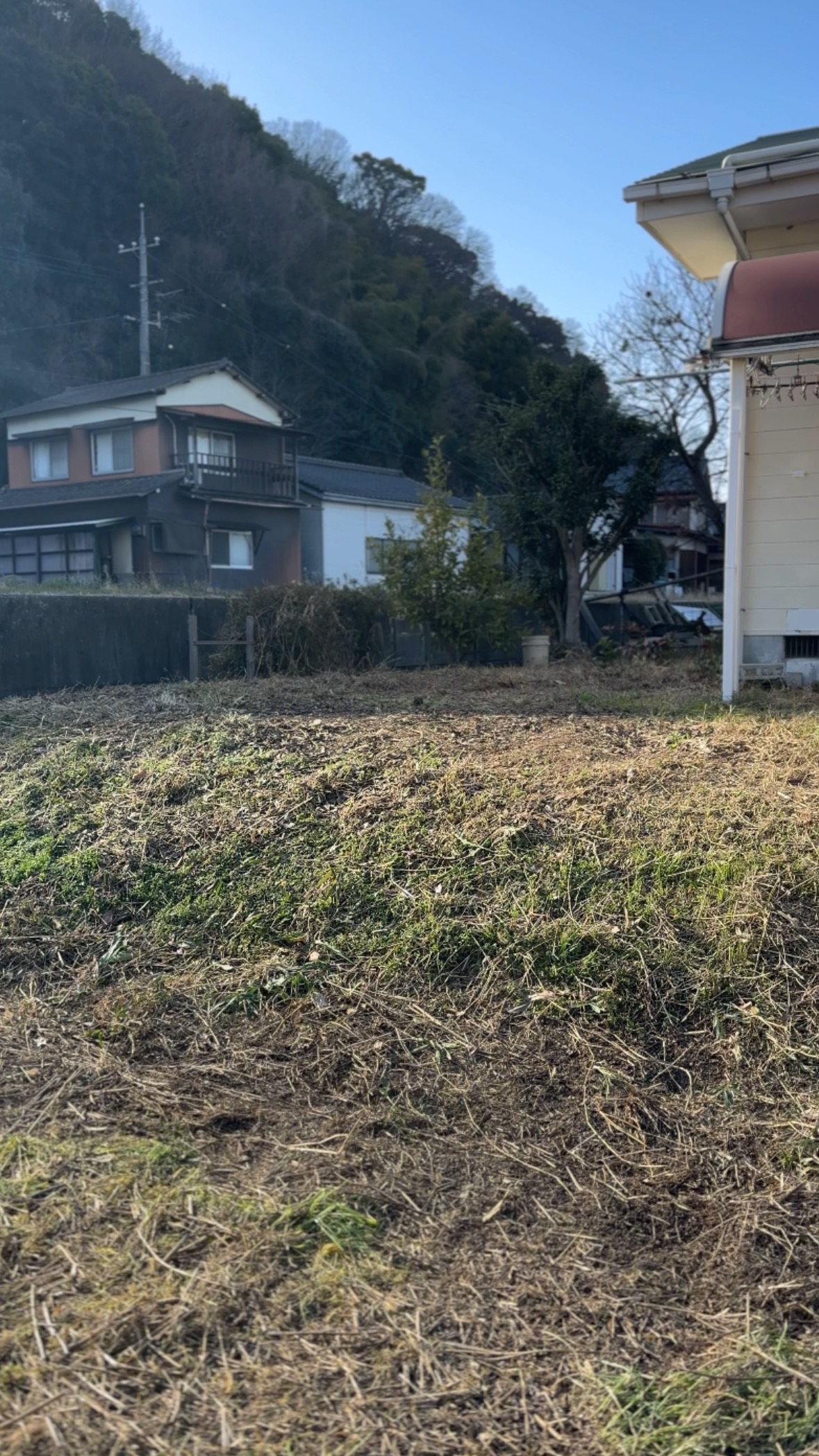 庭の植栽の伐採等 | 施工事例 | (株)合田建設 |